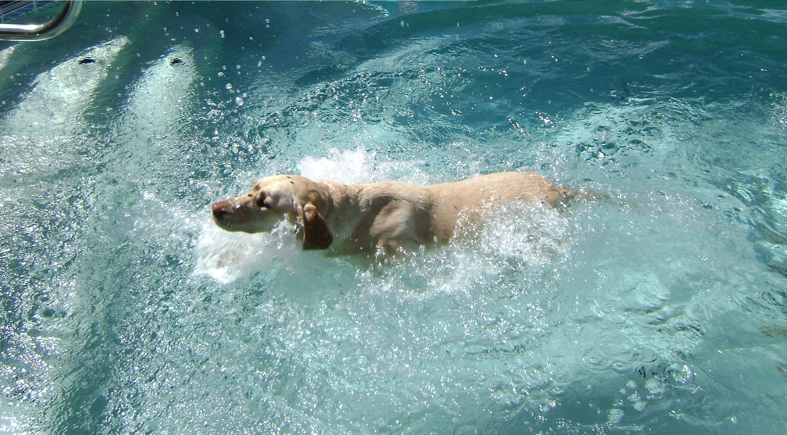 Toozie Swimming